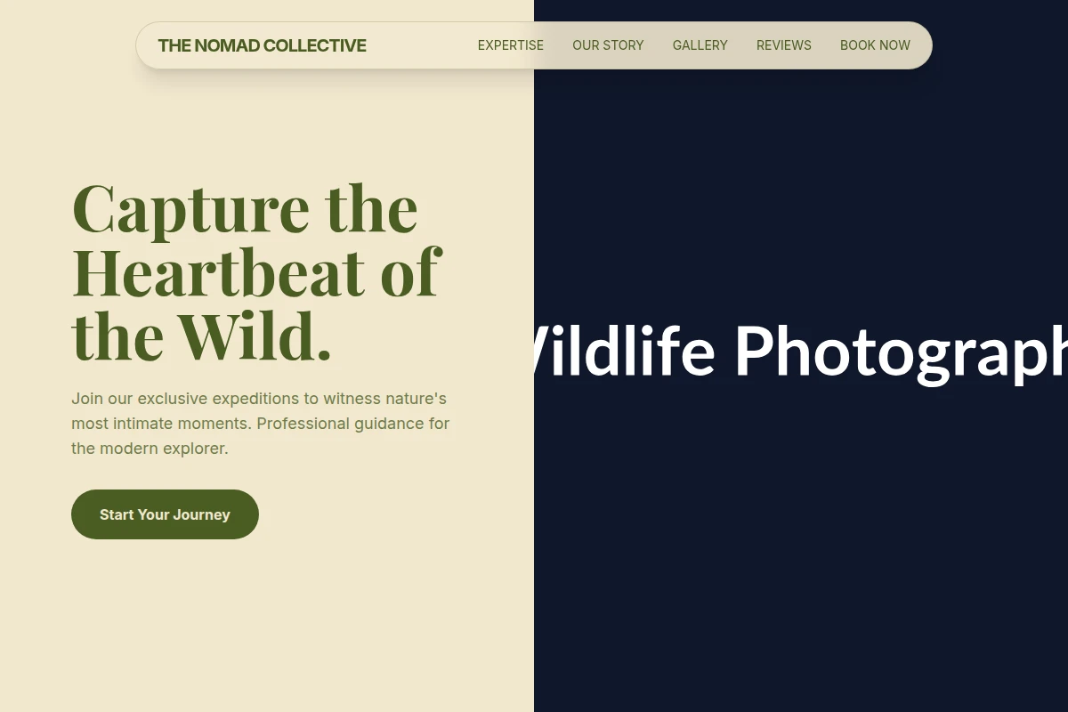 Summit Wildlife Photography
